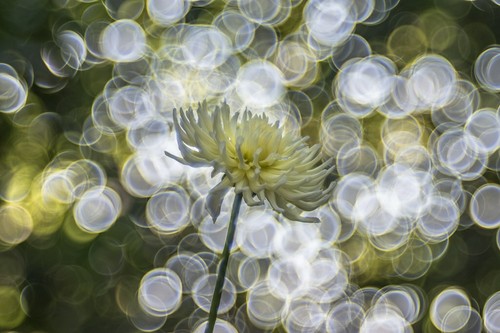 Obiettivo vintage helios 44m - vintage,